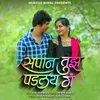 About Sapan Tujh Padalay Ga Song